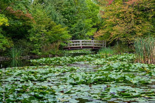 Autumn Parkland in Sapporo Japan