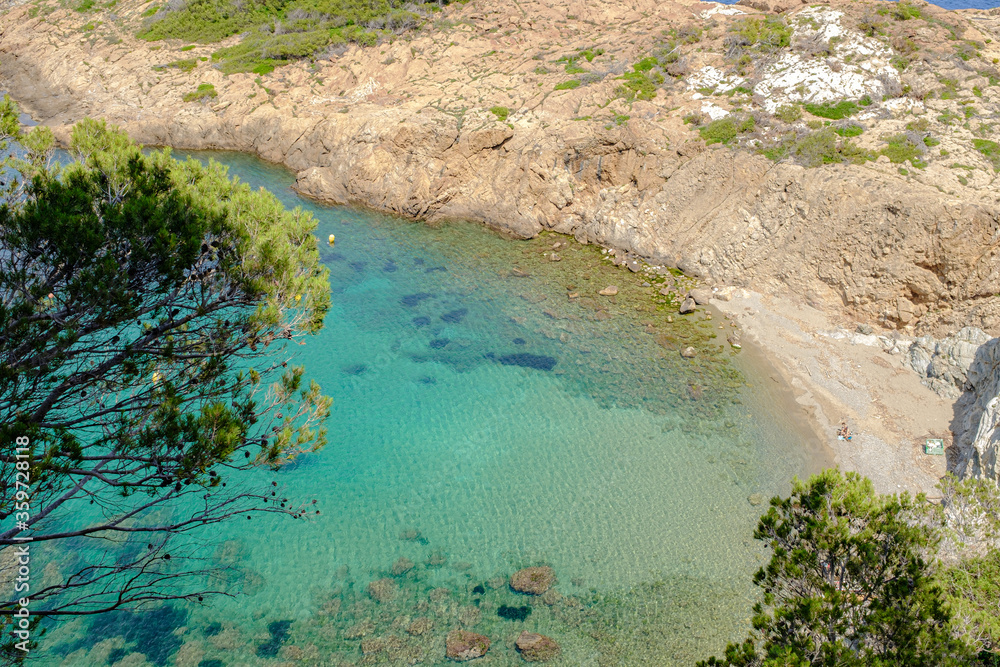 Bright blue quiet water beach landscape with green trees in a coastal landscape in Begur, Catalonia