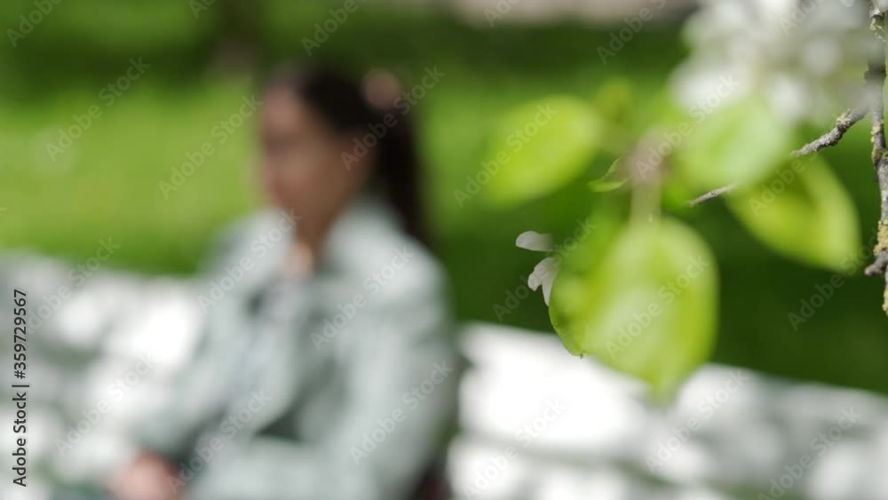 Attractive adult woman relaxing on white bench in park at spring sunny day, beautiful brunette woman resting under blooming apple trees in city garden, flowering tree with white flowers rack focus Attractive adult woman relaxing on white bench in park at spring sunny day, beautiful brunette woman resting under blooming apple trees in city garden, flowering tree with white flowers rack focus