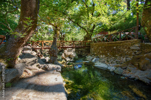 Wooden bridge over small Loutanis river in Seven spring (Epta Piges) in forest near Kolymbia (Rhodes, Greece)