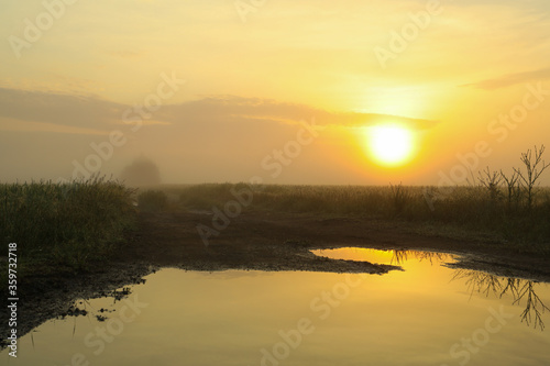 Foggy morning field. Beautiful summer morning. Summer nature