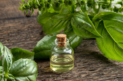 A bottle of basil essential oil with fresh blooming basil twigs