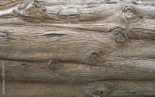 Closeup of tree bark texture. Natural background
