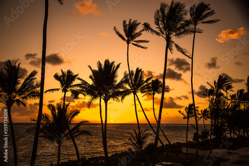 Palm trees with a colorful sunrise at the village of Panalulu on the north shore of the island of Oahu in Hawaii.