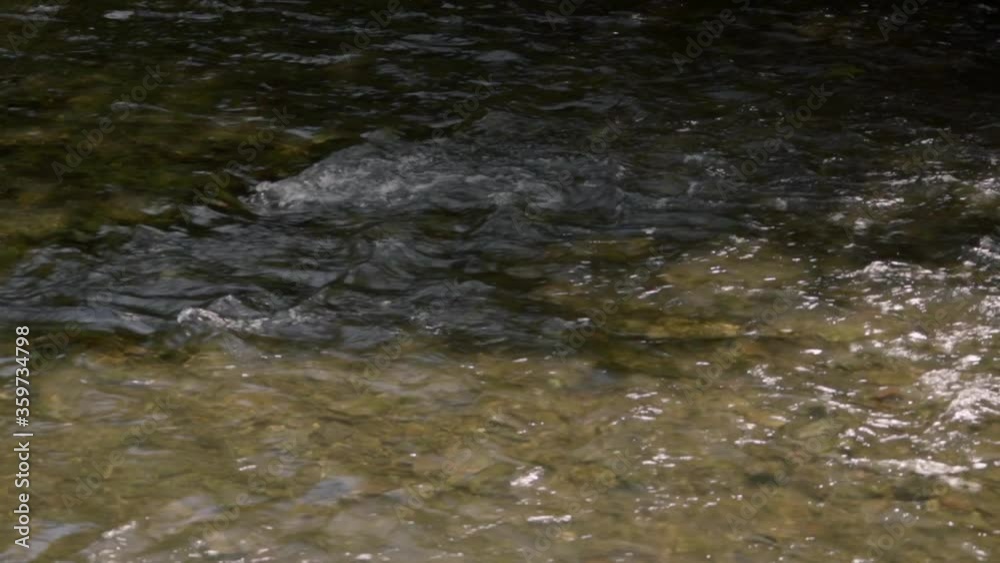 Idyllic river in close-up Idyllic river in close-up