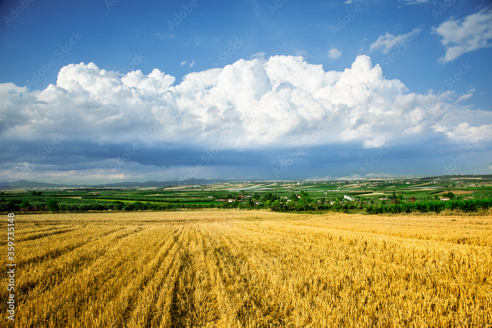 Photo of the natural landscape of Greece in summer Photo of the natural landscape of Greece in summer
