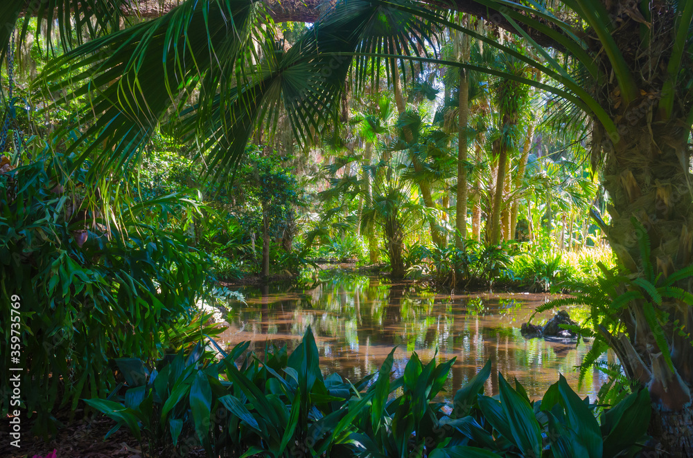 Florida-Washington Oaks State Park Pond Florida-Washington Oaks State Park Pond