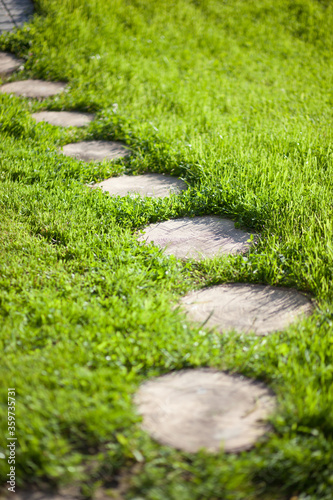 path in the garden