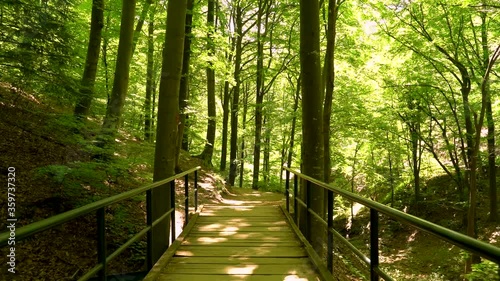 POV of person hiking alone at Medvednica national park trail, Zagreb, Croatia.