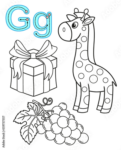 Printable coloring page for kindergarten and preschool. Card for study English. Vector coloring book alphabet. Letter G. Gift, grapes, giraffe