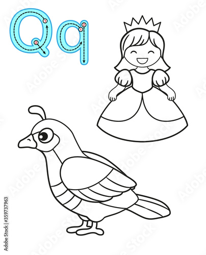 Printable coloring page for kindergarten and preschool. Card for study English. Vector coloring book alphabet. Letter Q. quail  queen