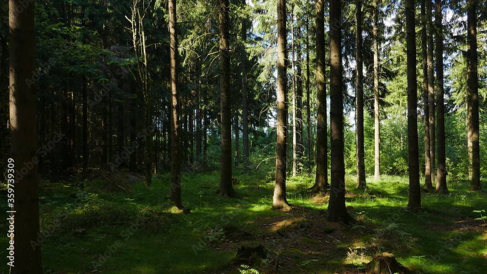 Obraz premium Erzgebirge