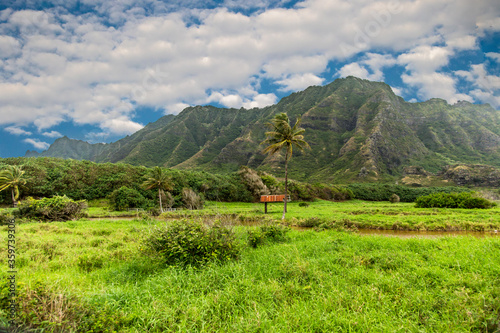 A meadow and the Koolau mountan Range on the north shore of the island of Oahu near the village of Panaluu  Hawaii.
