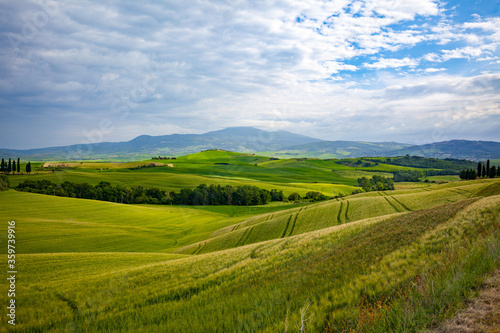 Tuscany landscape at sunrise. Typical for the region tuscan farm house  hills  vineyard. Italy