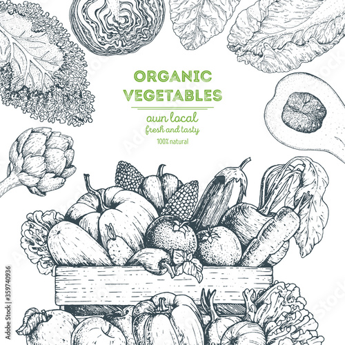 Harvest of vegetables in the basket. Hand drawn vector illustration with vegetables. Engraved style.
