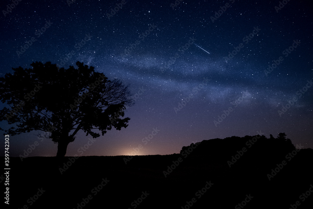 Wonderful milky way and shooting star in the dark sky. Silhouette of a tree in foreground.