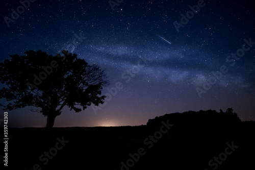 Wonderful milky way and shooting star in the dark sky. Silhouette of a tree in foreground.