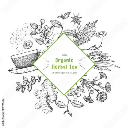 Herbal tea vector illustration. Menu label. Healthy food concept. Linear graphic.