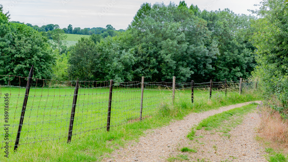 Dirt trail between farms with fences with wooden posts and metal fencing with abundant trees, grass and green vegetation, cloudy spring day in South Limburg, Netherlands Holland Dirt trail between farms with fences with wooden posts and metal fencing with abundant trees, grass and green vegetation, cloudy spring day in South Limburg, Netherlands Holland