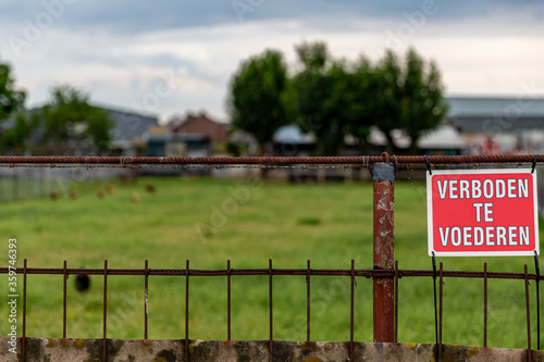 Small red sign on a rusty metal fence in a poultry pen that says: Forbidden to feed with the farm in the blurred background, cloudy day in South Limburg, Netherlands