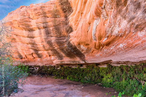 The hanging gardens near to Page  Arizona