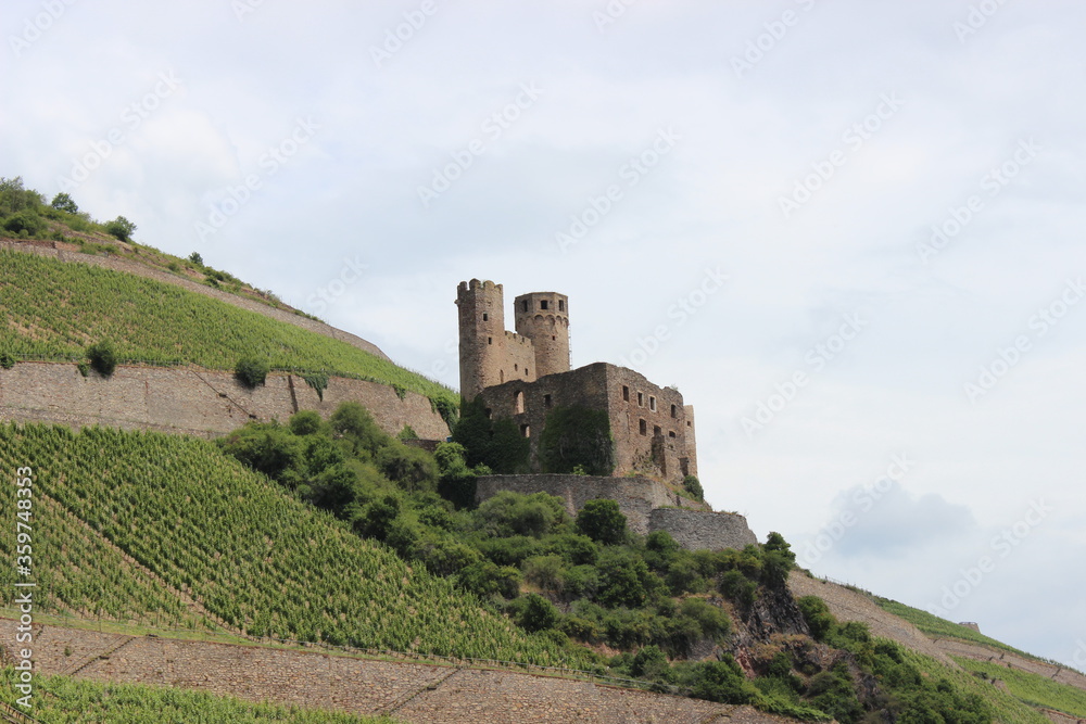 Burg an der Weinstrasse Rhein