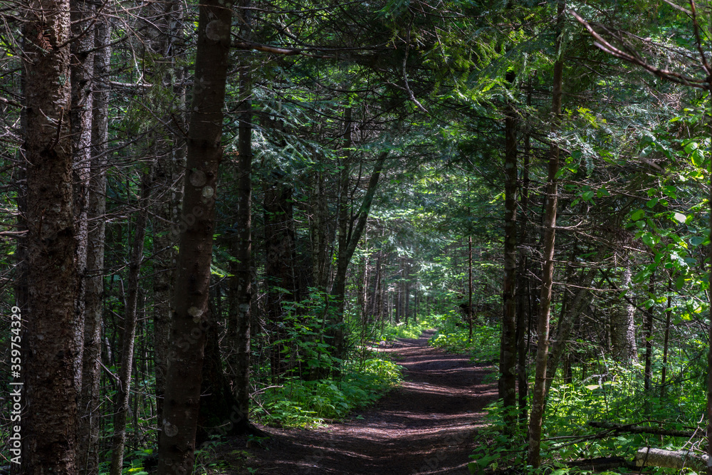 Farragut State Park