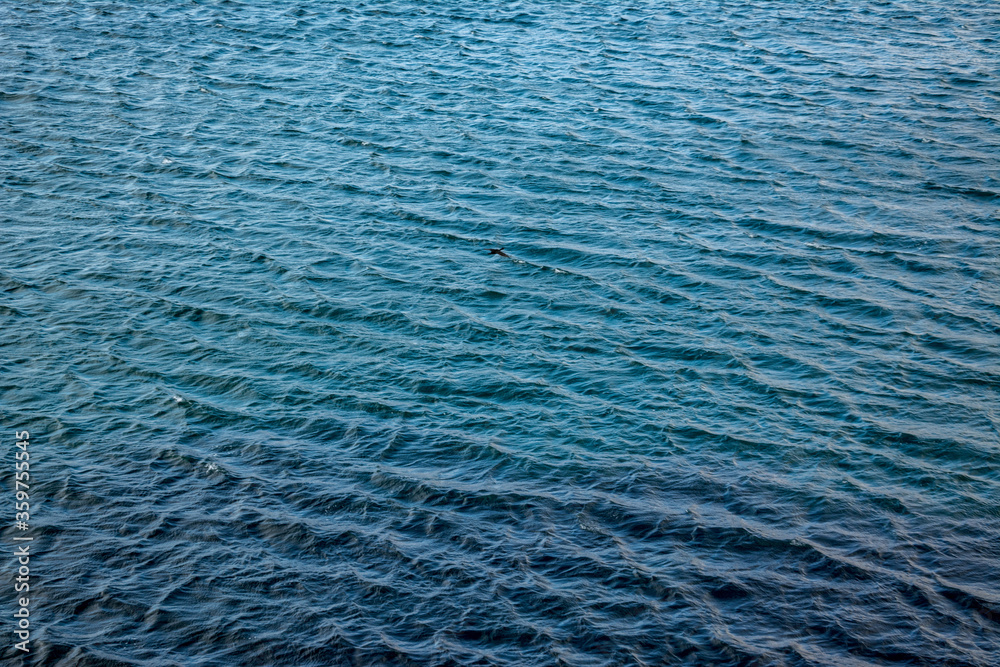 Fototapeta premium Background image of sea waves top view.