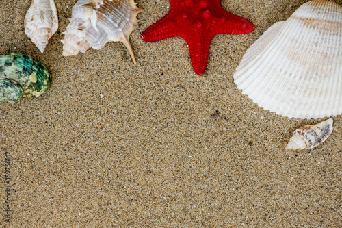 Seashells and pearl with starfish on sand