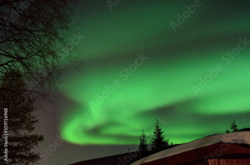 strong aurora borealis dancing on winter night sky over tree tops in northern Norway