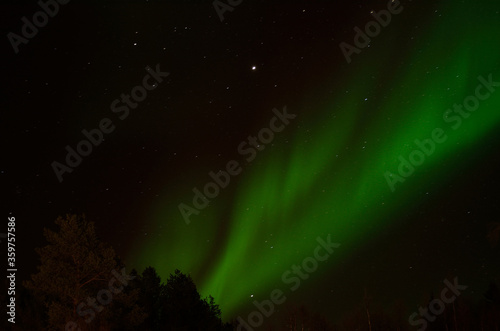 strong aurora borealis dancing on winter night sky over tree tops in northern Norway photo