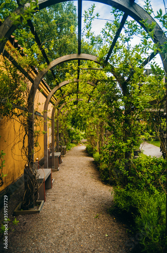 Arched passage in summer garden park with benches. Garden trees metal tunnel walkway in park. Elegant arched passage near yellow wall