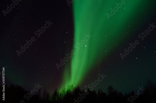 strong aurora borealis dancing on winter night sky over tree tops in northern Norway © Arcticphotoworks