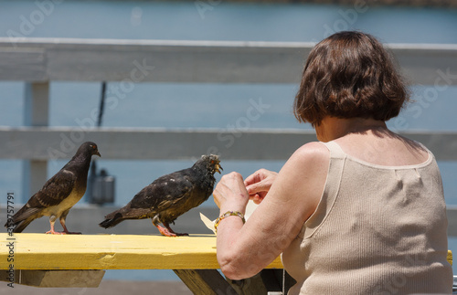 Portrait of Sharing a Lunch Break  With Pigeons
