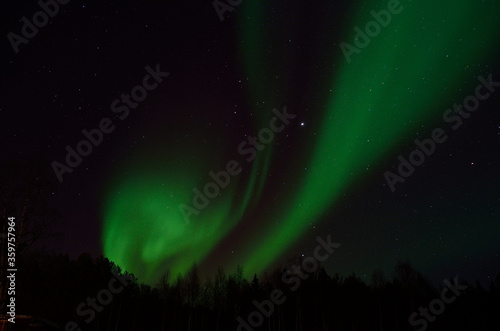 strong aurora borealis dancing on winter night sky over tree tops in northern Norway © Arcticphotoworks