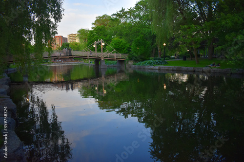 bridge with reflection in a park 