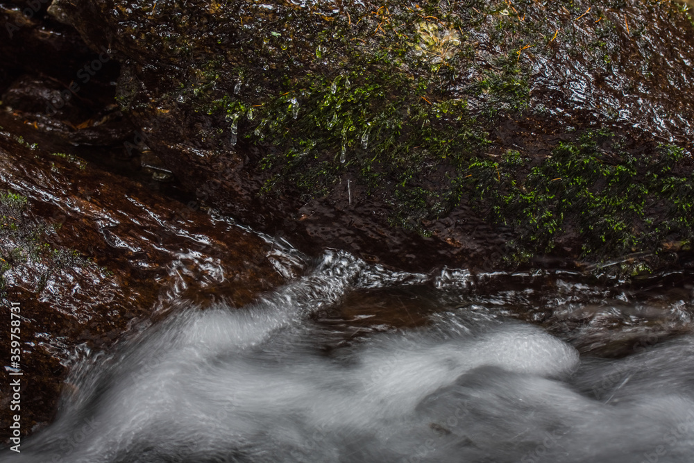 Fototapeta premium flowing water over a stone with moss detail