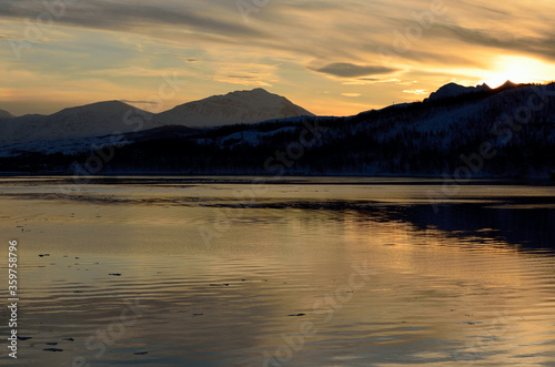 Beautiful fjord with birds and snow covered mountains in the arctic circle at winter