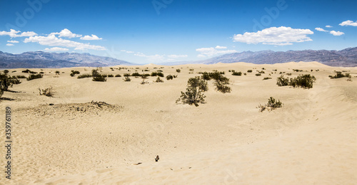 Death Valley desert on a sunny summer day