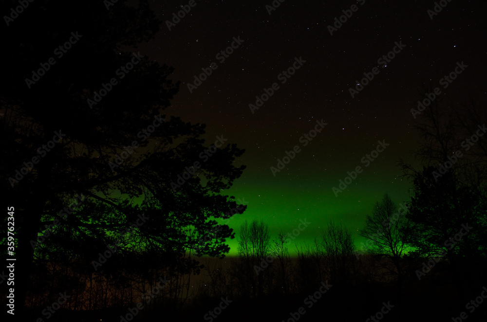 Strong vivid and vibrant aurora borealis on the night sky over cold frozen forest in december Strong vivid and vibrant aurora borealis on the night sky over cold frozen forest in december