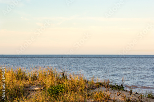 summer east coast dunes sunset