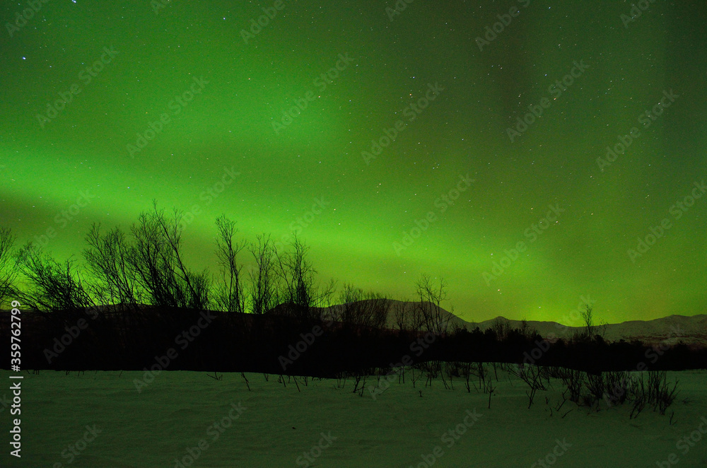 Strong vivid and vibrant aurora borealis on the night sky over cold frozen forest in december