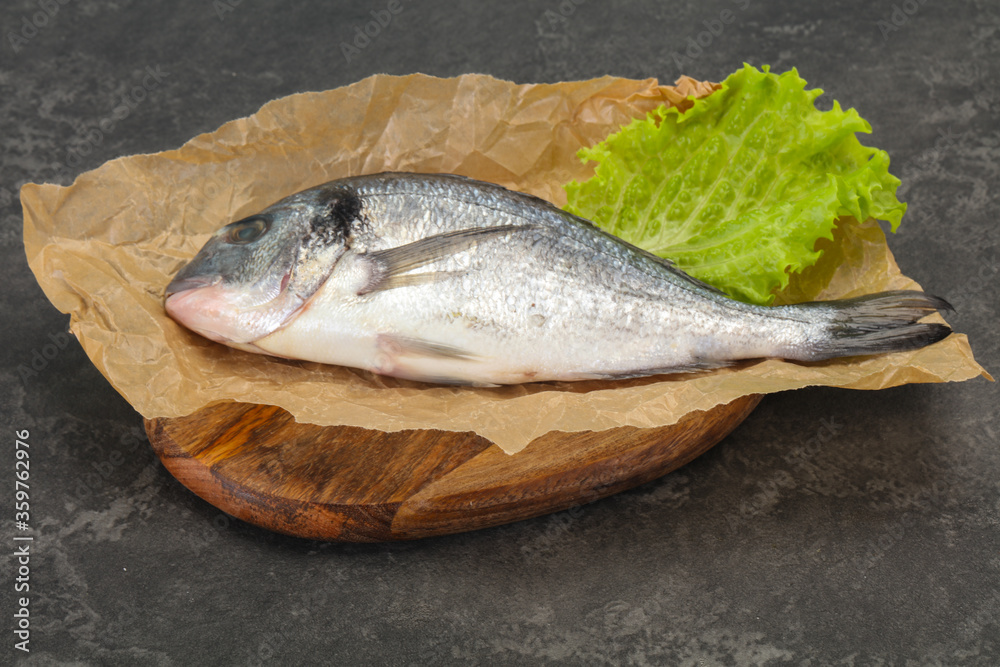 Raw Dorada fish  for cooking