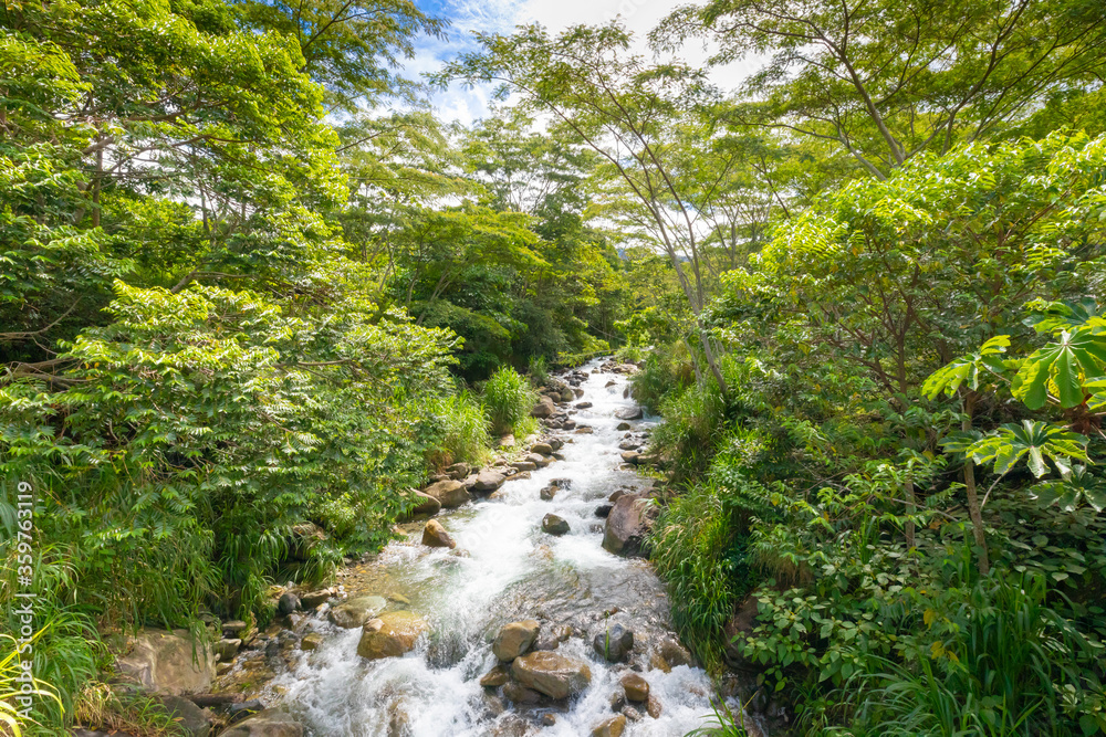 Costa Rica river in the jungle Costa Rica river in the jungle