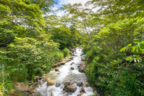 Costa Rica river in the jungle