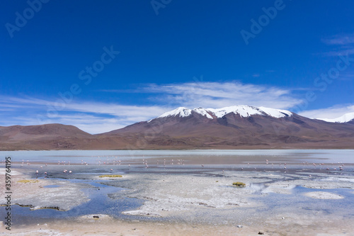Laguna Pasto Grande  Bolivia  South America