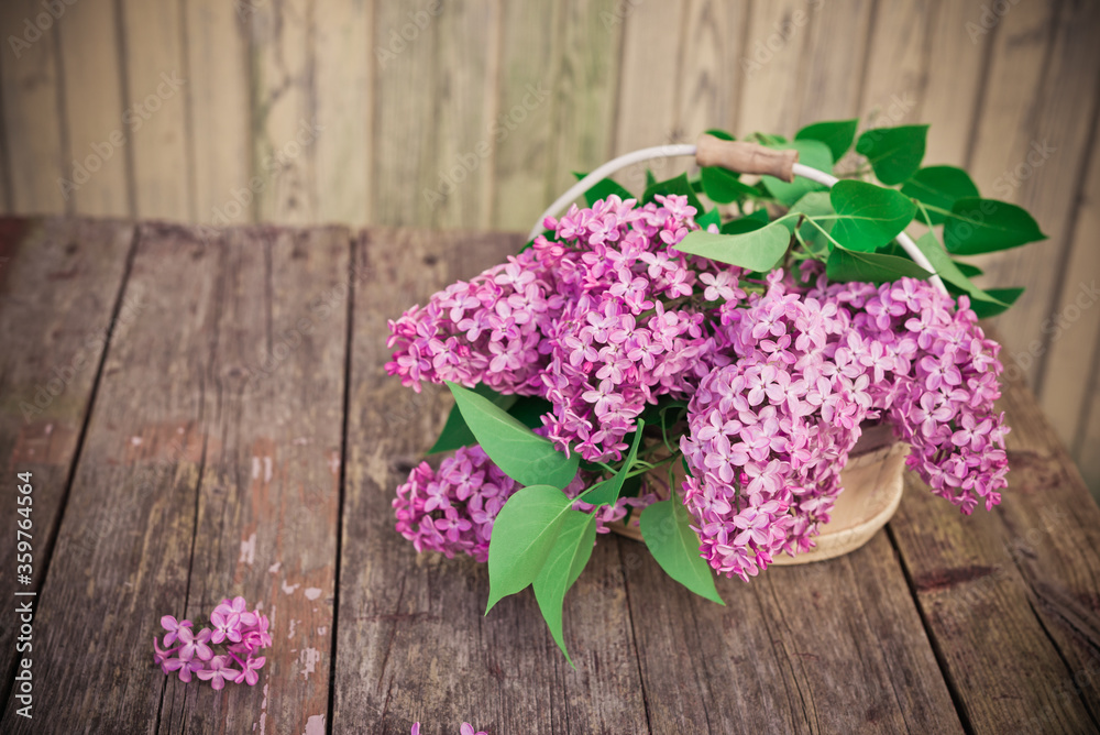 Bouquet of lilac spring flowers on rustic old shabby wooden table. Copy space
Bouquet of lilac spring flowers on rustic old shabby wooden table. Copy space