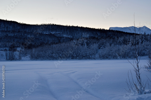 frosty forest and winter landscape with snowy river bed in the arctic circle