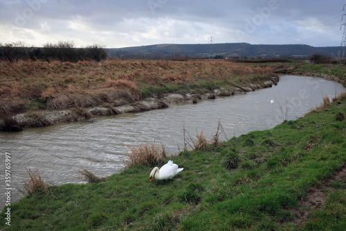 Countryside landscape of River Ader and meadow near Shoreham-by-Sea, England