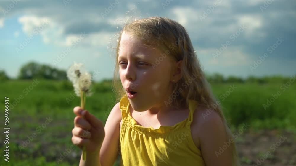The girl plays with a dandelion shooting close-up against the background of green grass and blue sky with light long hair on the field. Green grass The girl plays with a dandelion shooting close-up against the background of green grass and blue sky with light long hair on the field. Green grass